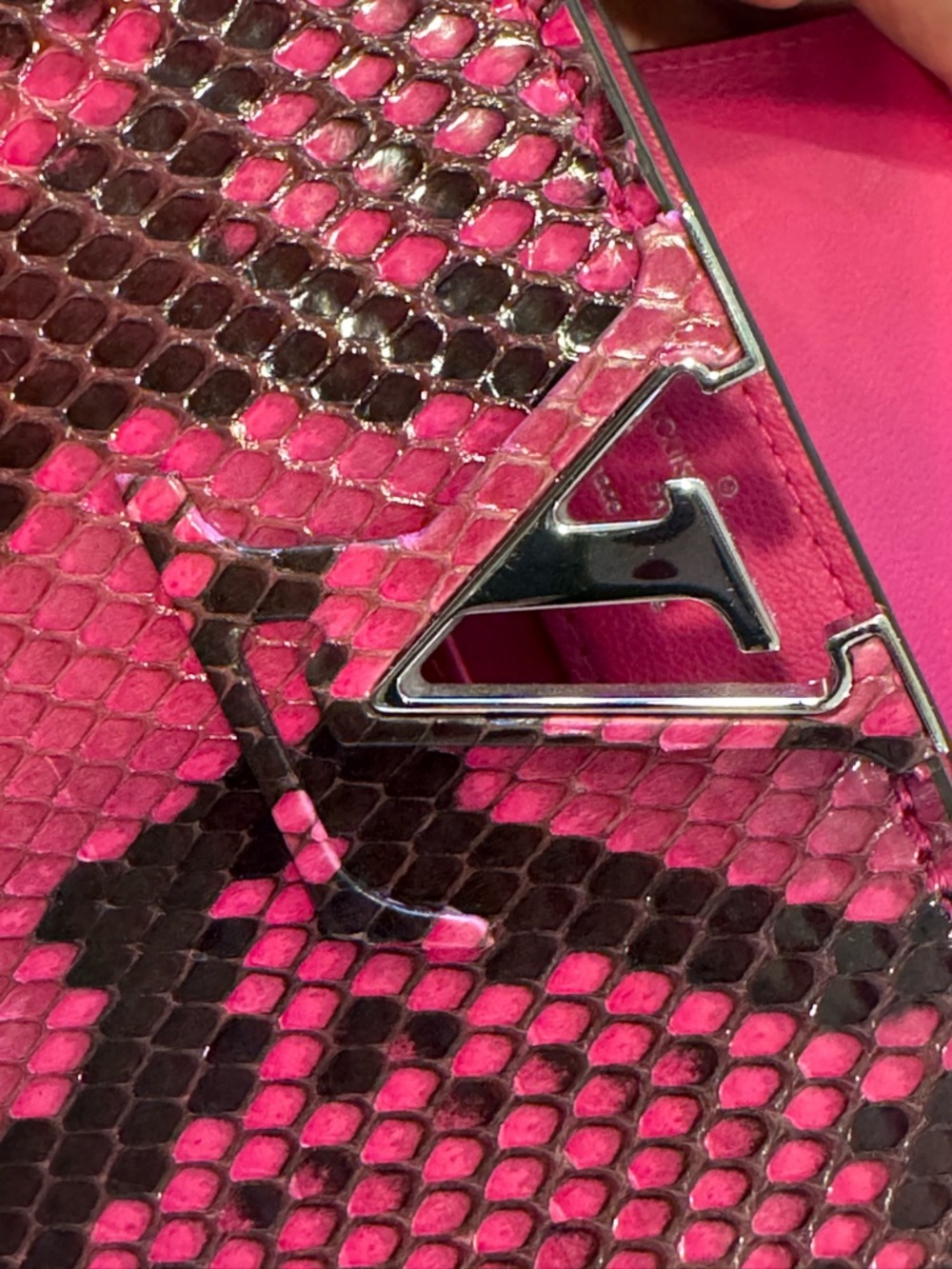 Louis Vuitton Python Capucines Mini - Picture 11 of 16